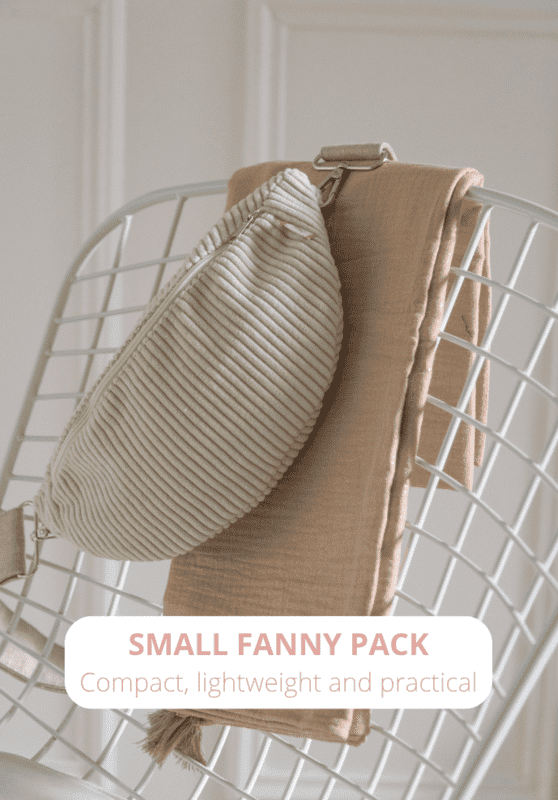 Vintage fanny pack