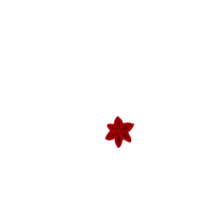 Star flower hairslide red