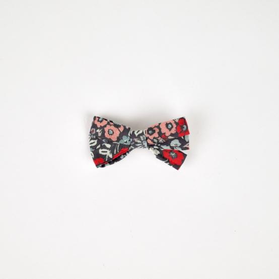 Ribbon clip small  jardin d'aurore