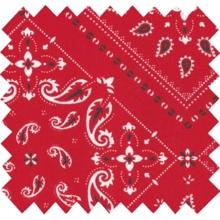 Cotton fabric ex2214 red paisley