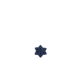 Star flower hairslide light denim