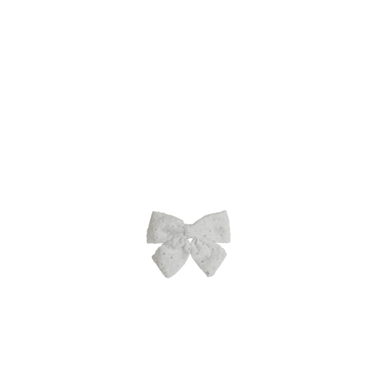 Bow tie hair slide english embroidery