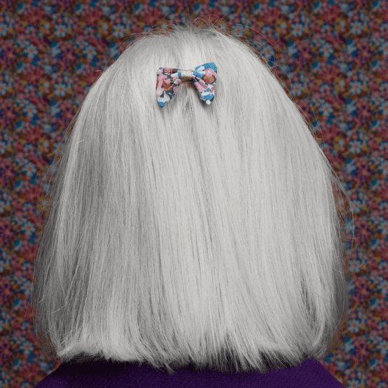 Mini bow tie clip bloom 70