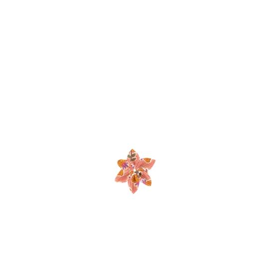 Star flower hairslide shanti