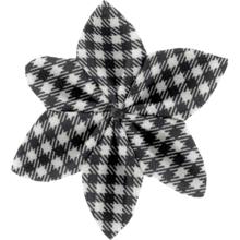 Star flower 4 hairslide vichy noir