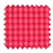 Cotton fabric ex2535