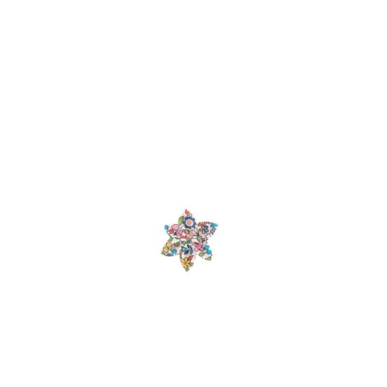 Star flower hairslide mille et une fleurs