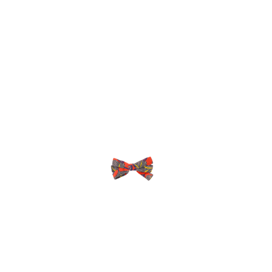 Ribbon clip small  calypso