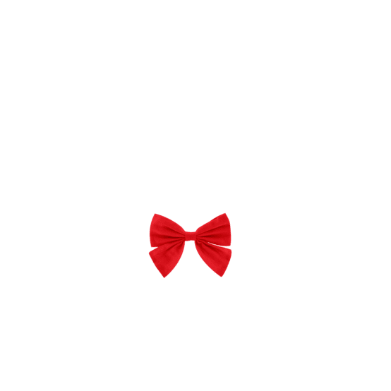 Bow tie hair slide red