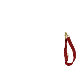 Removable strip burgundy