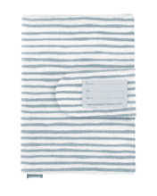 Health book cover striped blue gray glitter