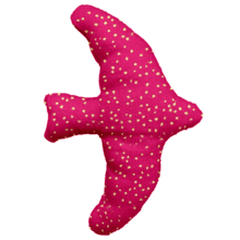 swallow clip fuchsia pailleté