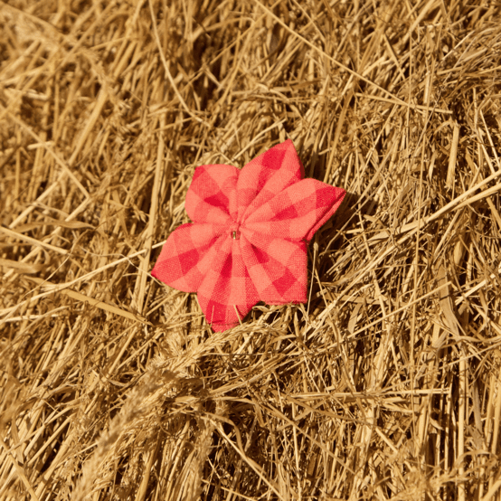 Star flower hairslide coral red gingham