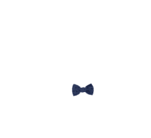 Small bow hair slide blue english embroidery