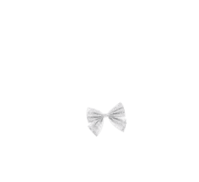 Bow tie hair slide english embroidery