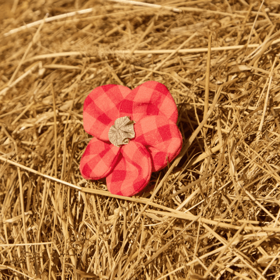 Flower petal hair slide small  coral red gingham