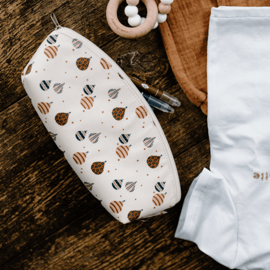 Pencil case montgolfiere