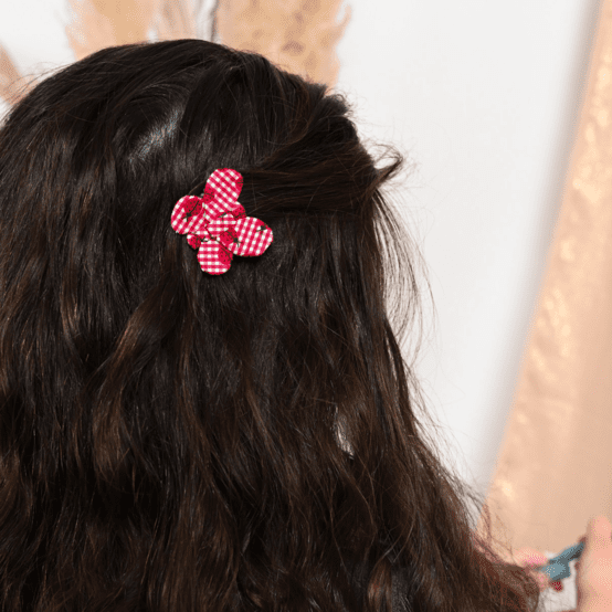 Butterfly hair clip ladybird gingham