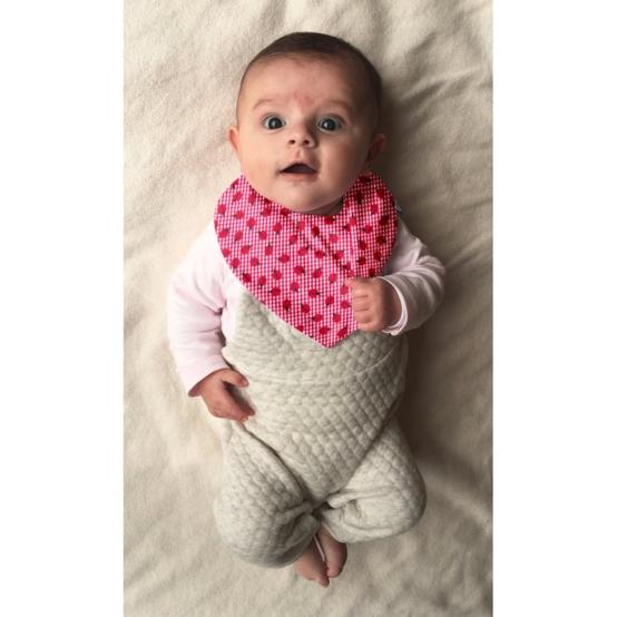 bandana bib ladybird gingham
