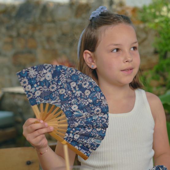 Hand-held fan parade royale