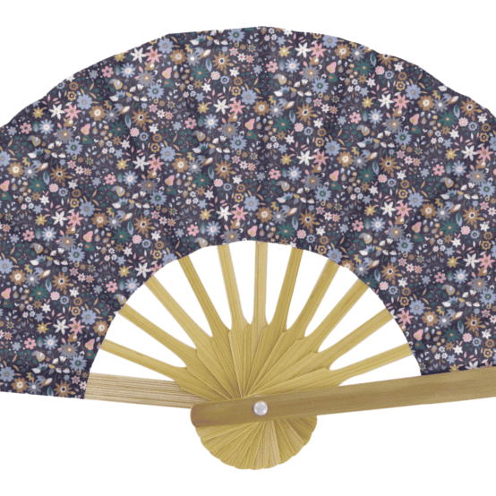 Hand-held fan seventies