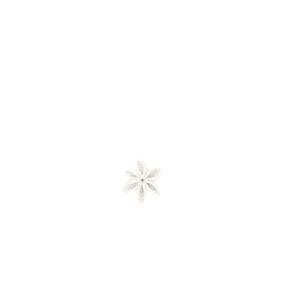 Star flower hairslide white sequined