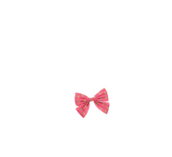 Bow tie hair slide feuillage or rose