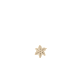 Star flower hairslide  glitter linen