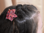 Star flower hairslide badiane framboise
