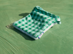 Make-up Remover Glove green mint gingham