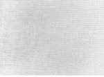 Cotton Fabric white lurex gauze