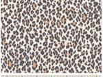 Cotton fabric leopard