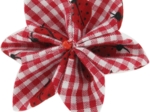 Star flower 4 hairslide ladybird gingham