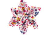 Star flower hairslide lianes printanieres