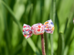 Mini sweet hairslide lianes printanieres