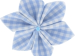 Star flower 4 hairslide sky blue gingham
