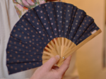 Hand-held fan surprise