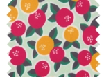 Coated fabric agrumes pop