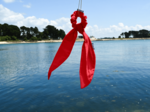 Short tail scrunchie red