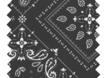 Cotton fabric ex2216 black paisley