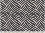 Coated fabric zèbre