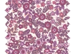 Cotton fabric ex2575 purple flower