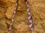 Narrow shoulder strap palmeraie