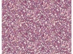 Cotton fabric ex2575 purple flower