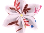 Star flower 4 hairslide herbier rose