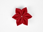 Star flower hairslide red