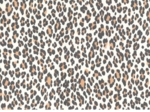 Coated fabric leopard