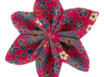 Star flower hairslide badiane framboise
