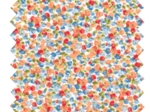 Cotton fabric ex2323 peach blue carnations