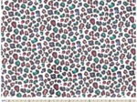 35cm coated fabric coupon ex2505 multicolored leopard